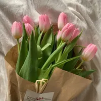 Tác giả bị khờ