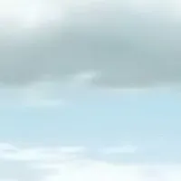 Nhân vật Nam?