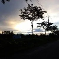 Nhân vật ẩn