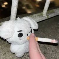 Damn it, Chắc chắn là vì tao dcap