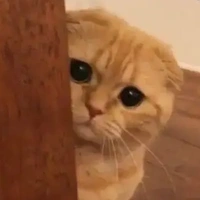Thùy Dương