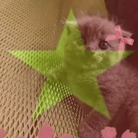 °.~🌷JULYY🐱~.°