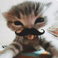 T/g