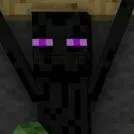 thanh chu sa (Enderman 🦅)