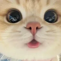 TG