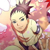 nara shikadai" b