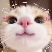 ♡°Zinny°☆