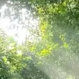 all