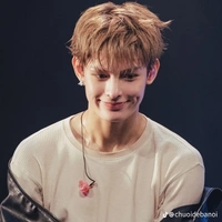 James ( bé mèo của tôi )