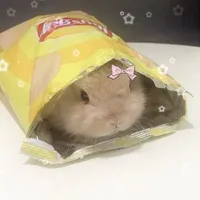 ღ𝓝𝓱𝓾
