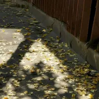 All