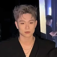 dương domic