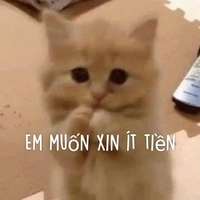 em bé mê tiền