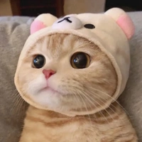cảnh sát