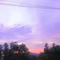 Hiha babachops