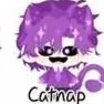 hiha catnap