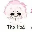 hiha tha hóa