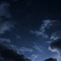 night