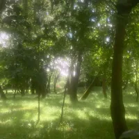 Nhân vật phụ(nhân giới)