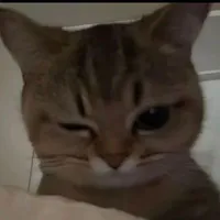 All