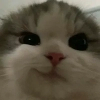3 bé bot