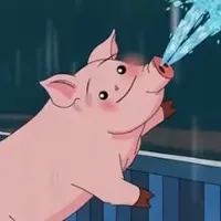 Pipi