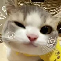 t/g