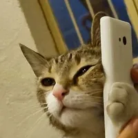 con mụ tác giả