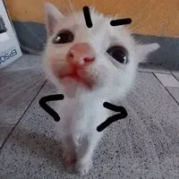 t/g nèeeeee