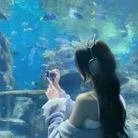 Mặc Nhược Ly