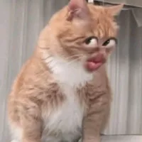 All
