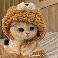 hệ thống 1