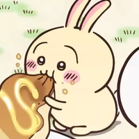 ✨Usagi🍮