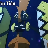 tapukoko