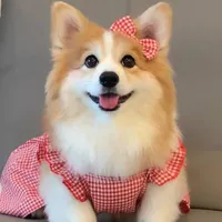 Bông