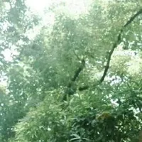 Mọi người