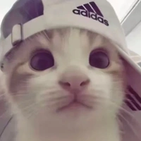 Tác Giả
