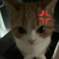 t/g