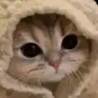 nhân vật phụuuu👻