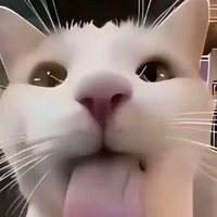 AII(cả nhóm)