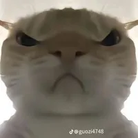 Tác giả báo