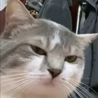 Là con nè mấy má