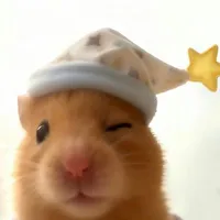 Tác giả ғɪᴏɴᴀ