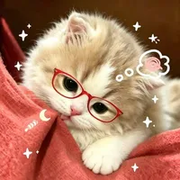 Meow
