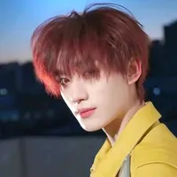 Đinh Trình Hâm