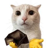 Sứa Hiện Lên Và Nói...