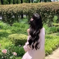 hồng lan (bn9)