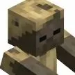 husk