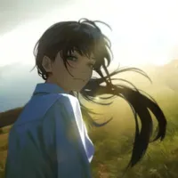 Y/N