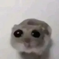 All